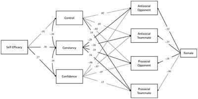 Mediational Role of Mental Toughness on the Relationship Between Self-Efficacy and Prosocial/Antisocial Behavior in Elite Youth Sport